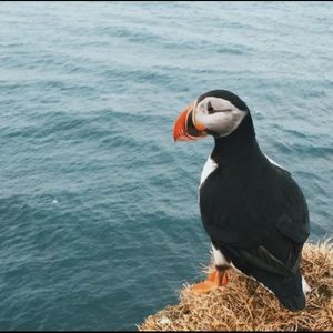 Meet your Posher, Janelle